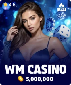 wm x
